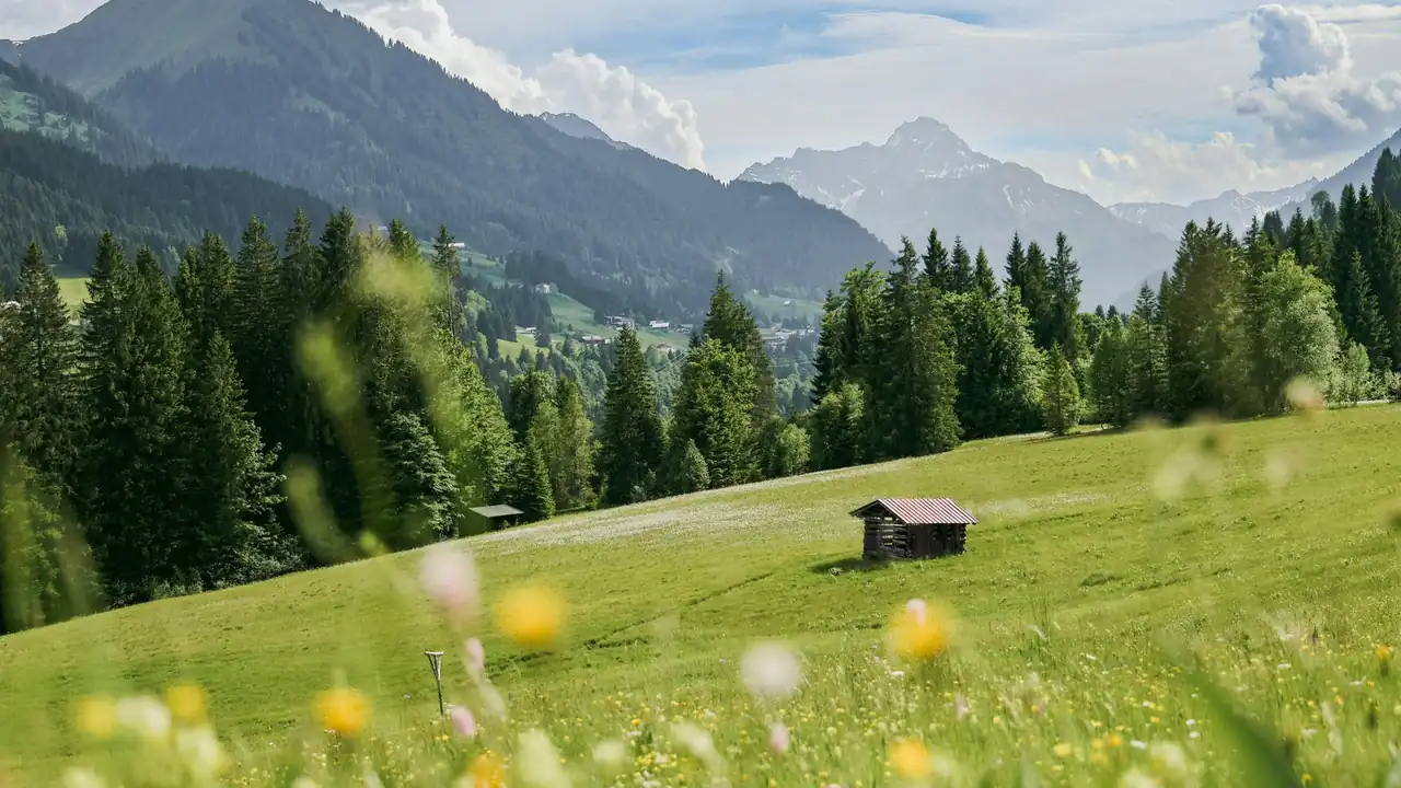 无尽大胸女同扶他资源查找与标签筛选指南